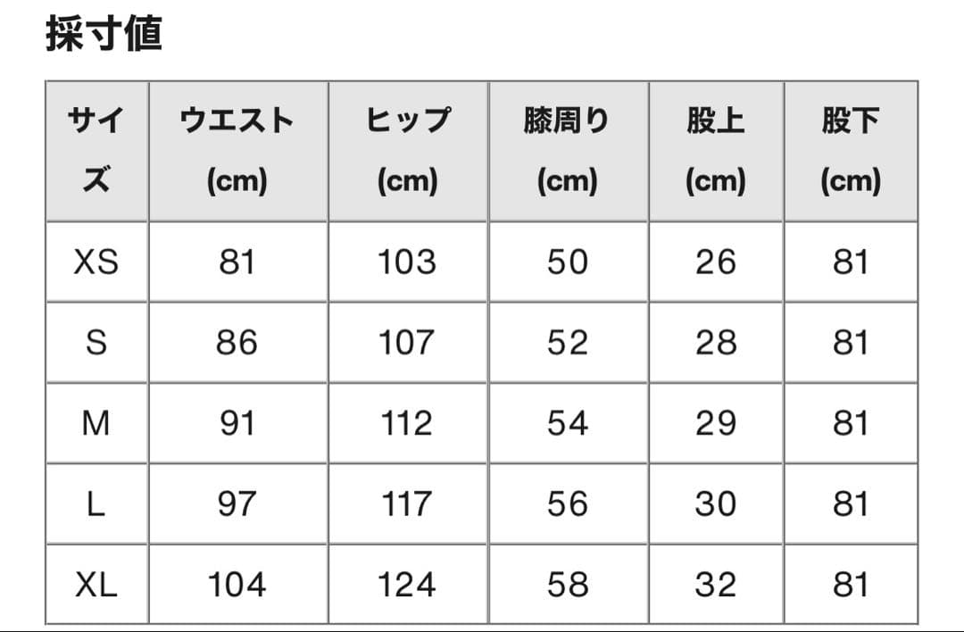 ほぼ新品　メンズ Burton ベント GORE-TEX 2L パンツ