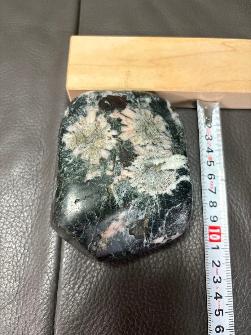 鑑賞石　花石　置物