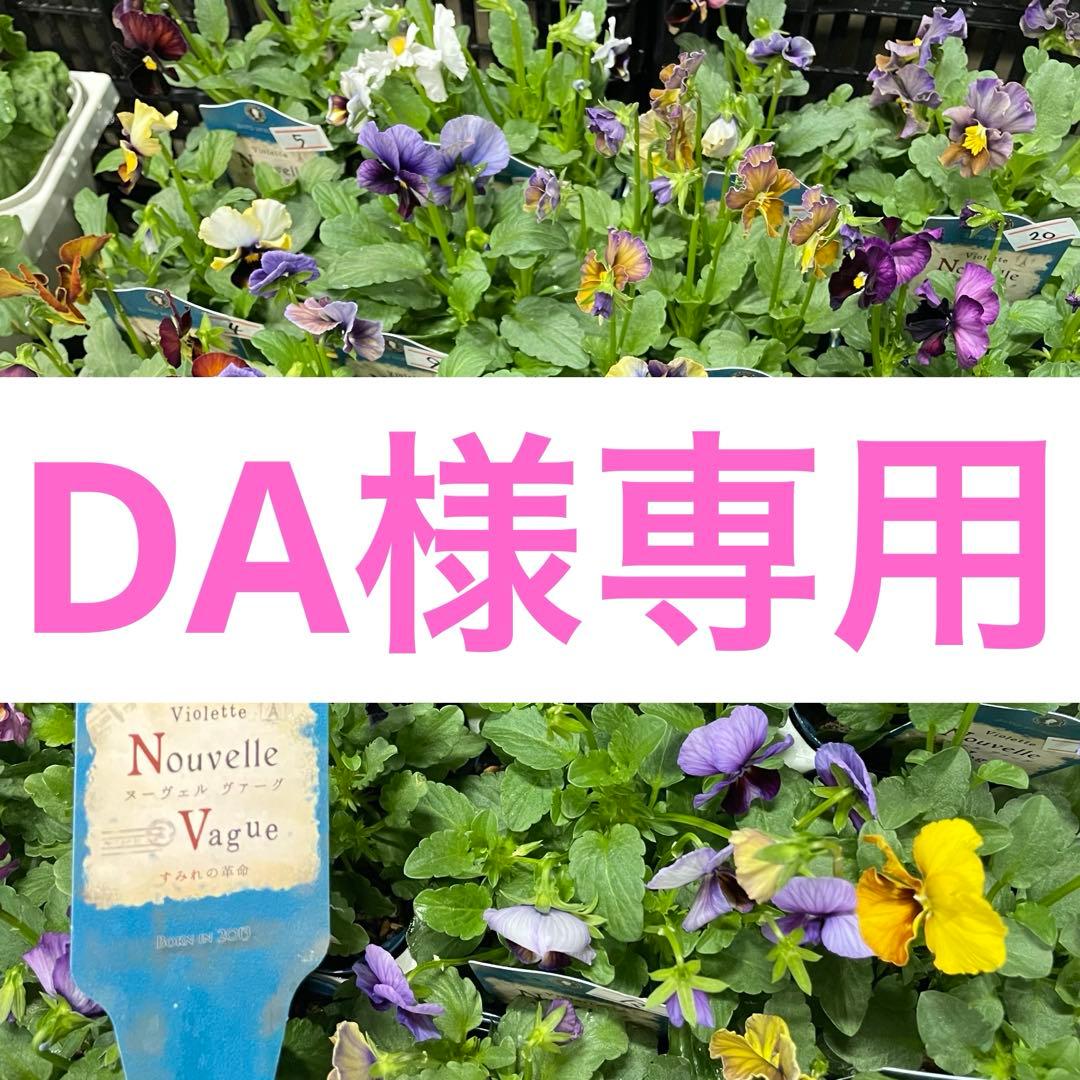 花 DA