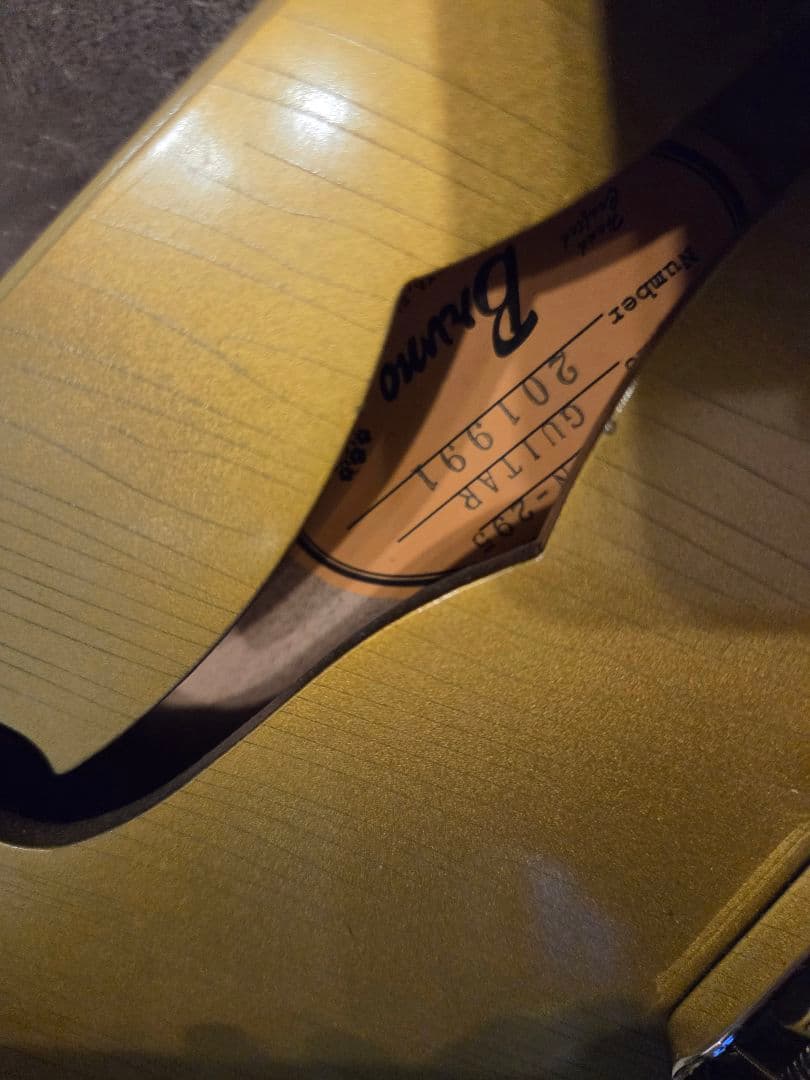 ギター BRUNO GUITARS TN-295