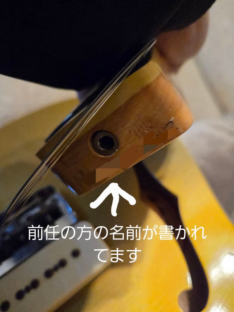 ギター BRUNO GUITARS TN-295