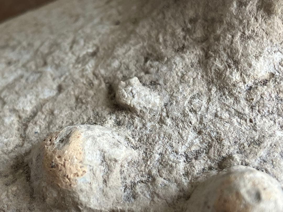 【美しい、、古代中国の羊像 新石器時代後期頃 前3000～2000年】骨董発掘