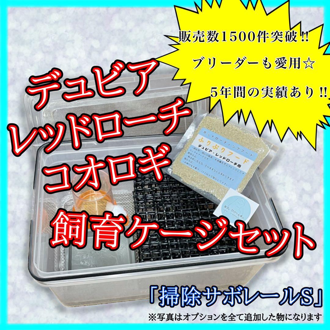 す。様　S(フル)
