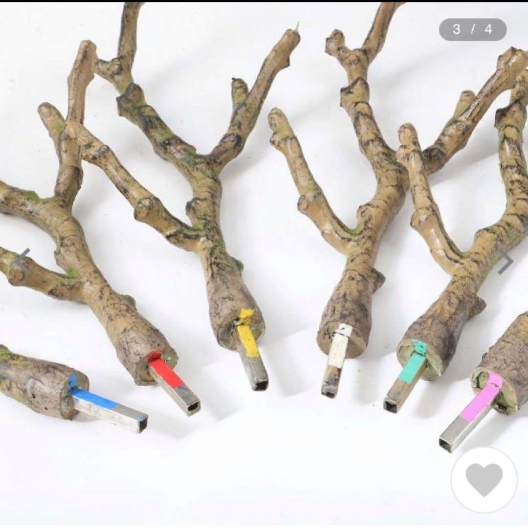 光触媒　人工観葉植物　ウォールグリーン　フェイクグリーン　ガジュマルコアッド鉢