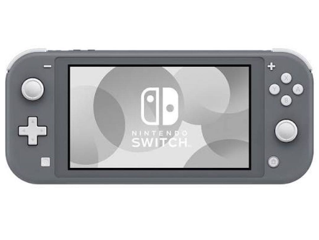 Nintendo Switch Lite 本体 充電器Minecraftソフト付