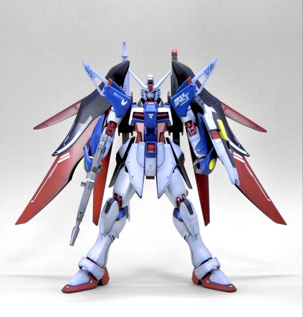 堀*吾様 HG デスティニーガンダム SPEC Ⅱ 全塗装 / ガンプラ 完成品