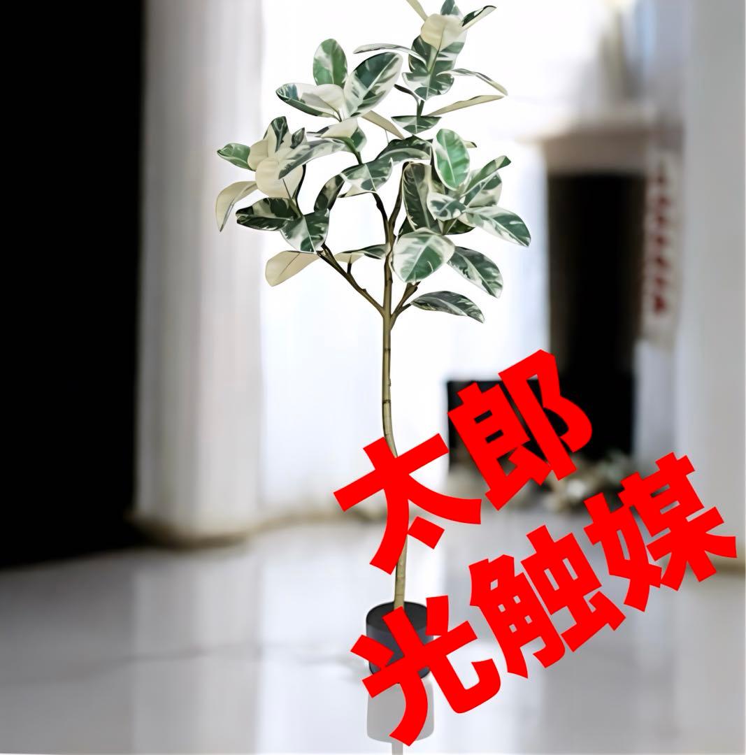 光触媒　人工観葉植物　ウォールグリーン　フェイクグリーン　アルテシマ150
