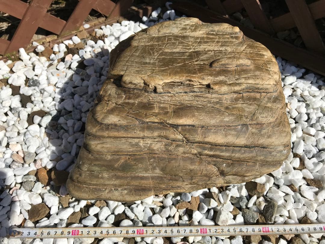 【TOなかい】瀬田川石『虎石』