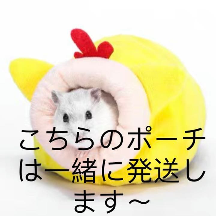 新品 アクリルルーム 51cm*32cm*24cmフクロモモンガ リス飼育ケージ