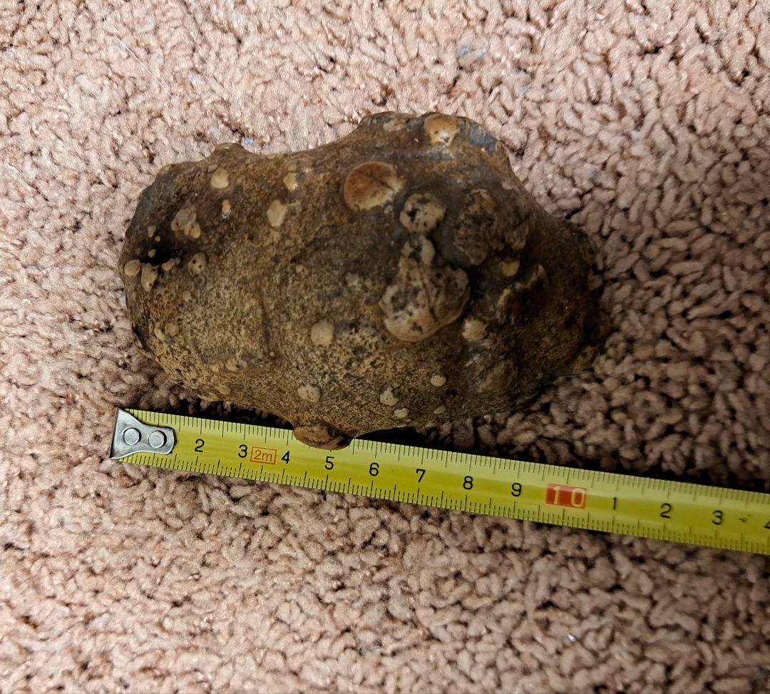 茶色い不規則形状の原石 鑑賞石　サンダーエッグ