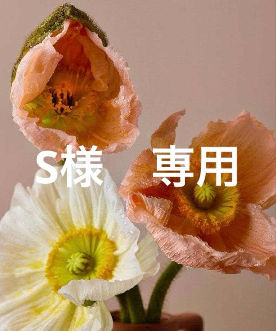 S　翌日発送　36