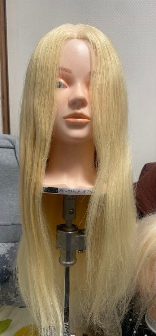 No.66プラチナブランドelegance 美容学生 ウイッグ