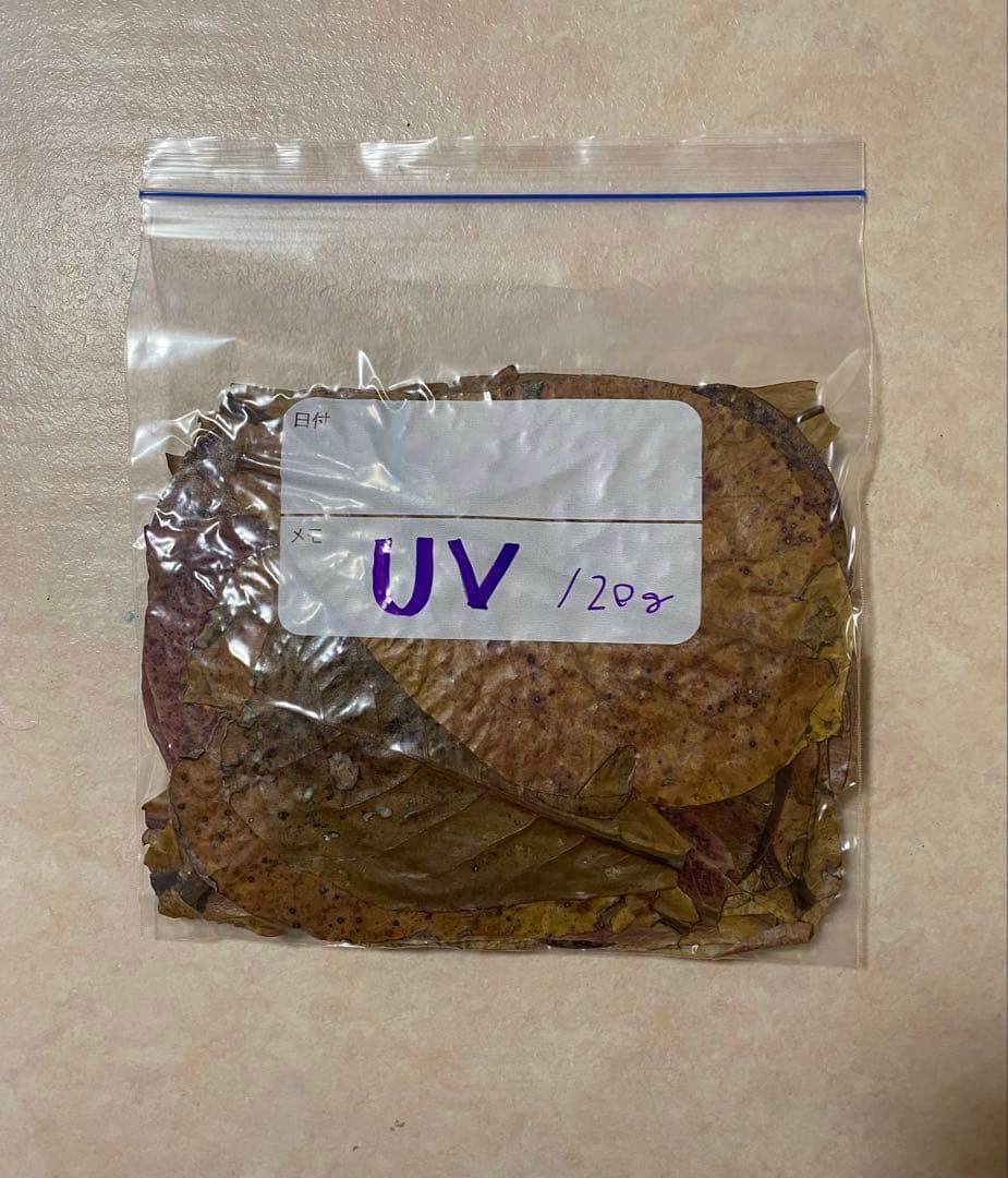 沖縄県やんばる産マジックリーフ 1kg UV殺菌灯照射済み⑥