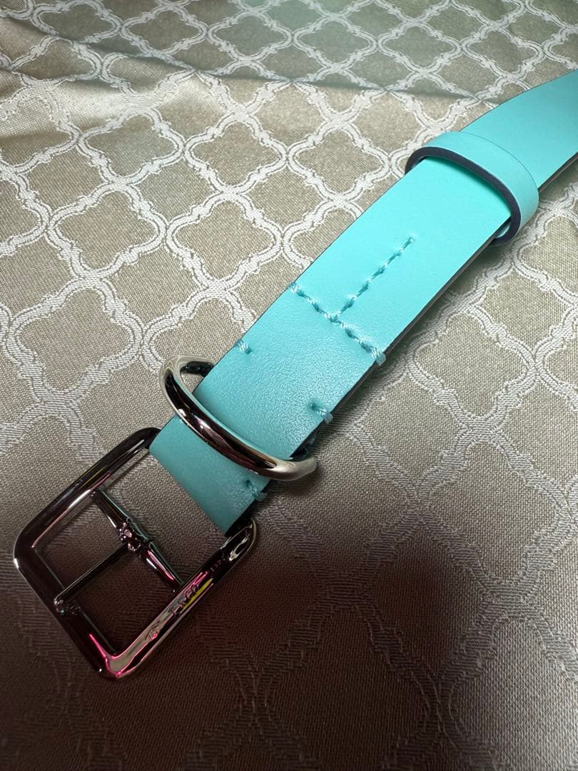 Tiffany & Co. ティファニーブルー レザー首輪