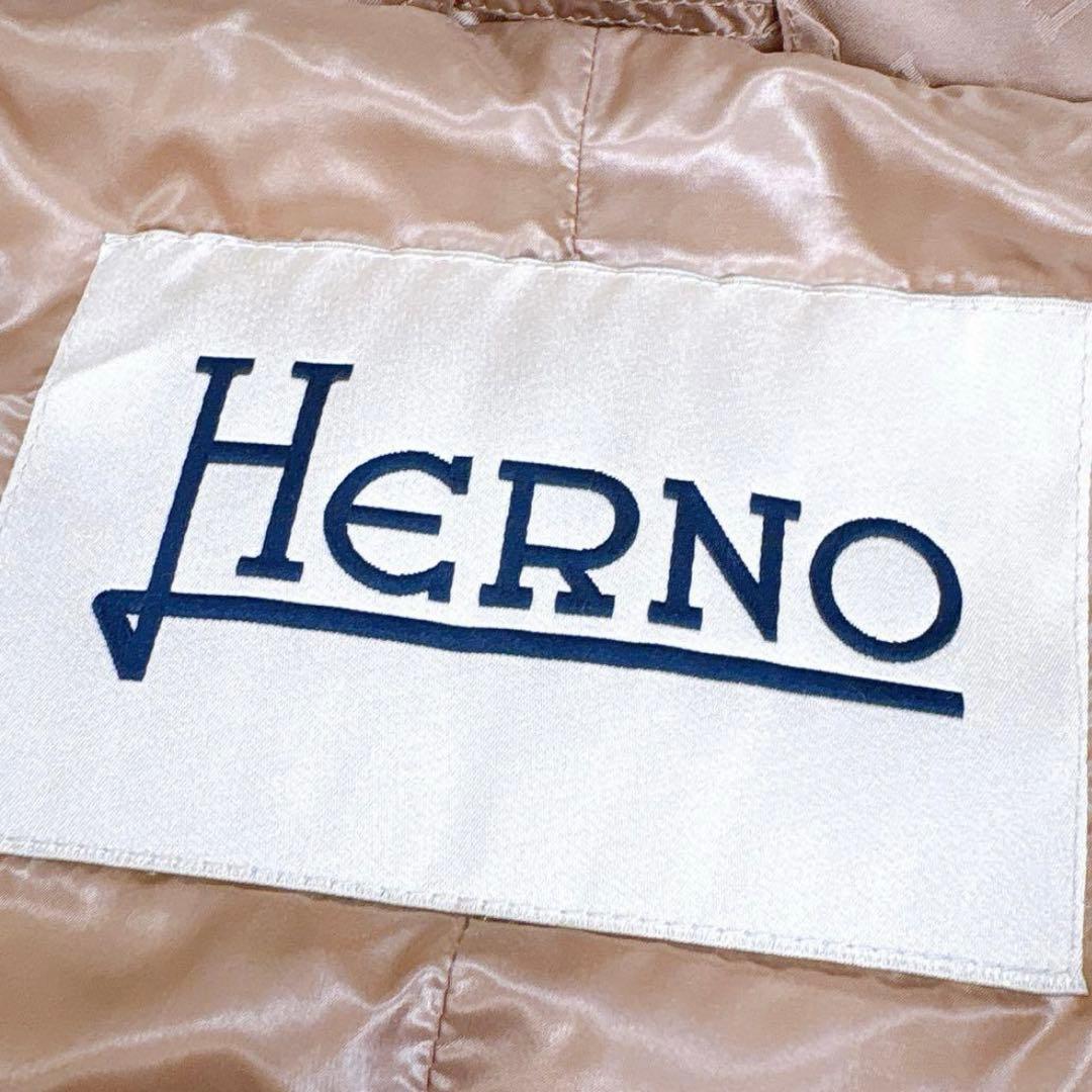 極美品✨HERNO モノグラム柄　ダウンジャケット　ロゴ　総柄　ブラウン　フード