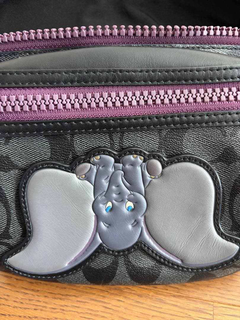 はな　coach ボディバッグ