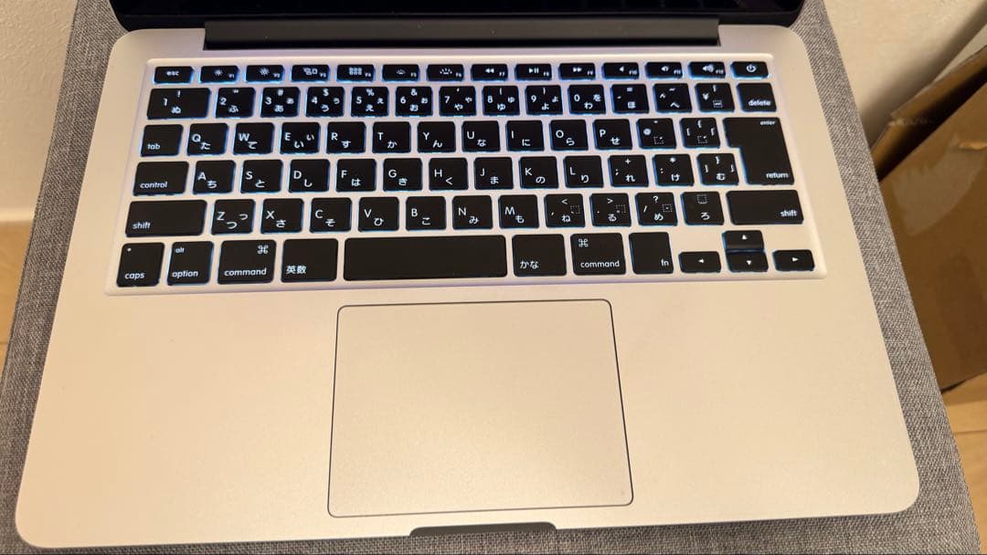 限定値下げ MacBook Pro 13インチ Early 2015 充放電36