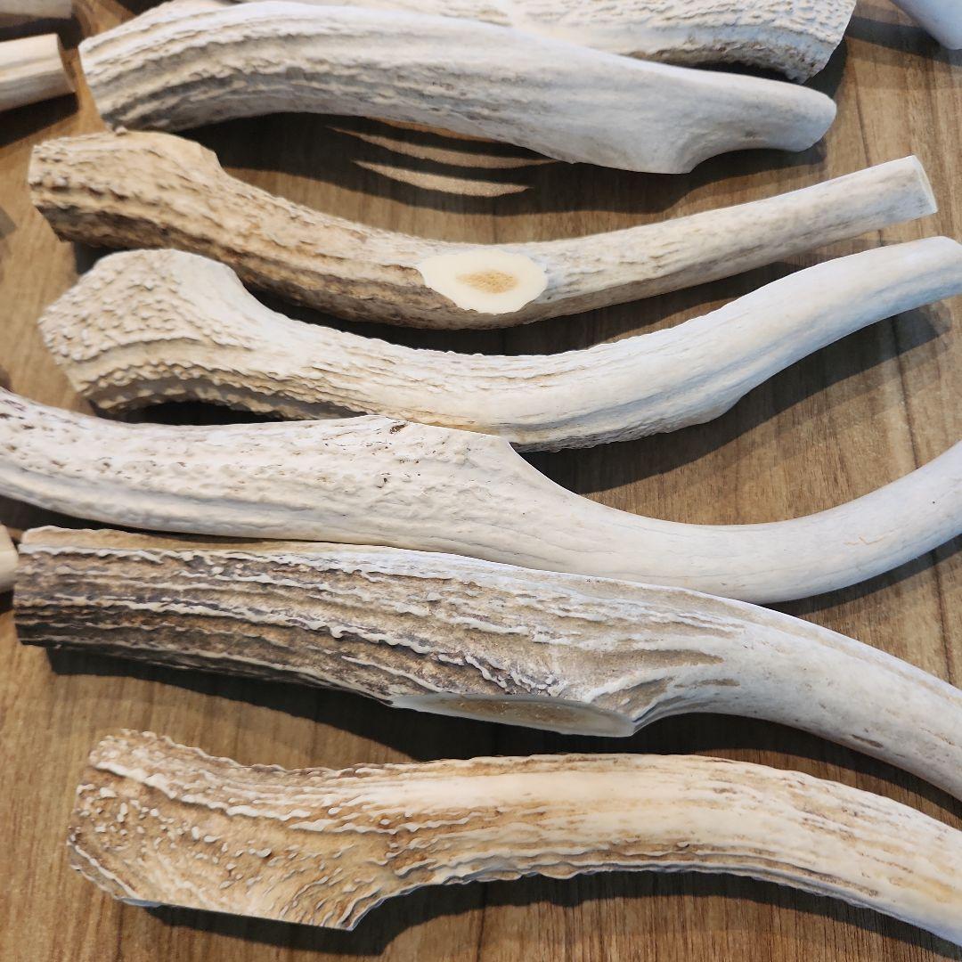 鹿の角 (特大～大サイズ)犬用おもちゃ ランダム　2kg　およそ4本～8本