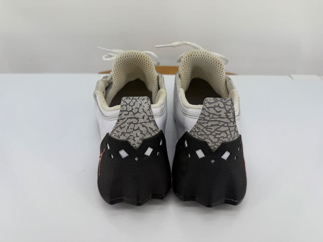 Jordan AirJordan ADG 2 ホワイト/グレー/レッド