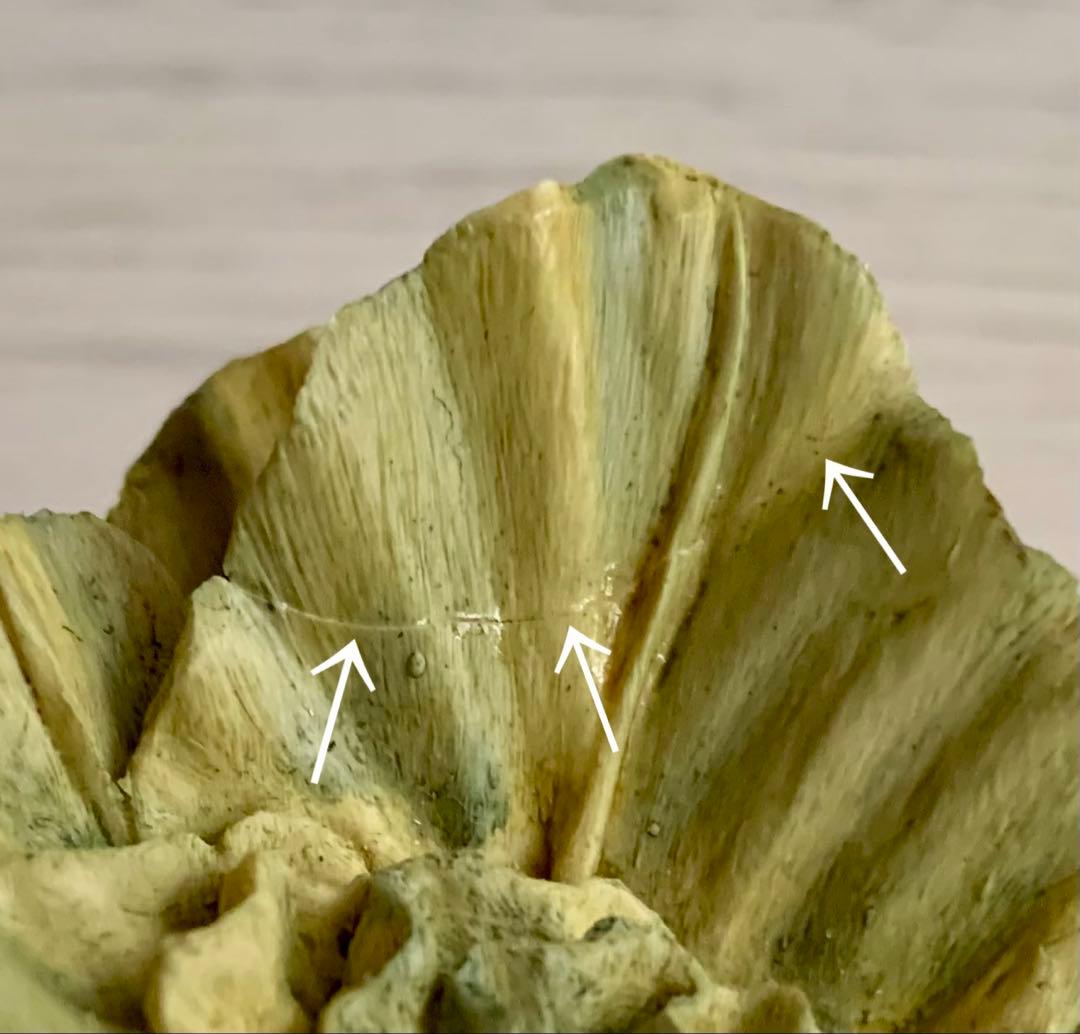 【難あり】フロプシーのこどもたち 限定版 希少 フィギュリン ピーターラビット