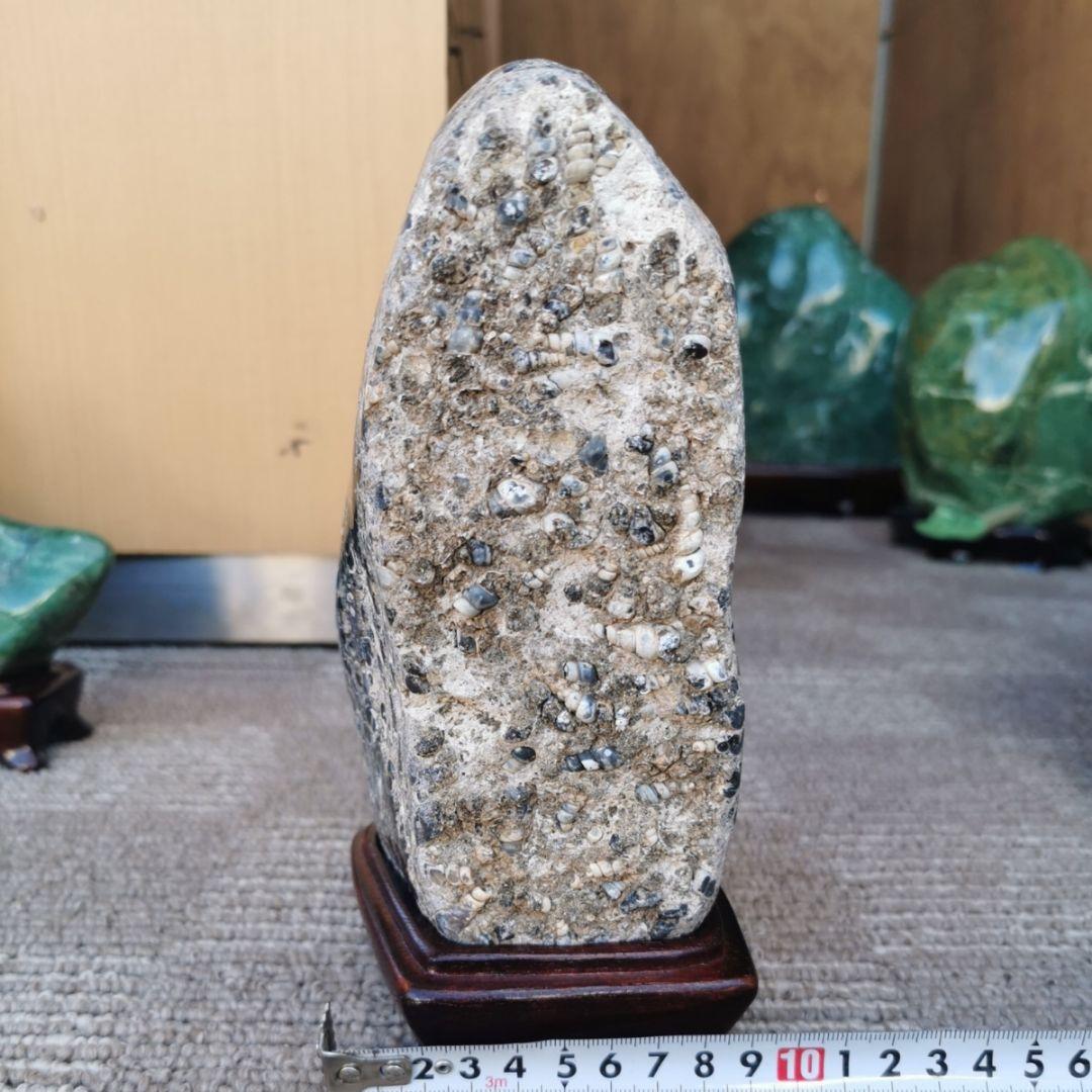 ツリテラアゲート　2.3キロ　化石　瑪瑙　アゲート　鑑賞石　石　置物　オブジェ