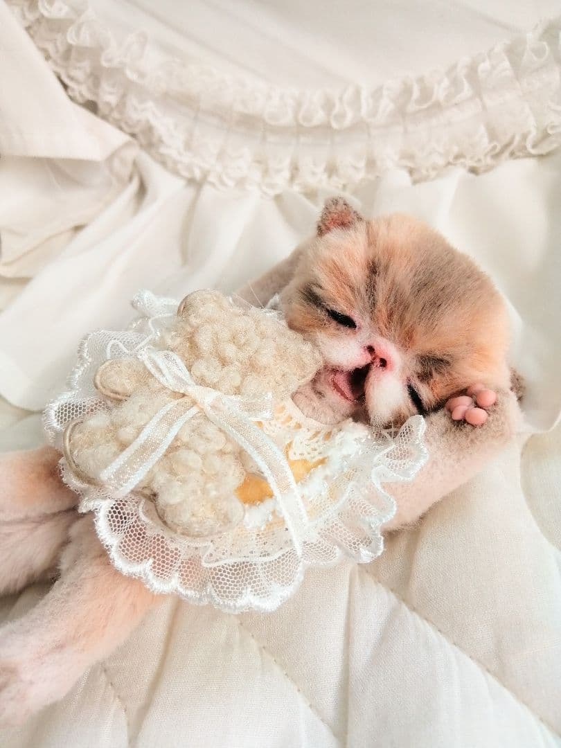 ママぁ～♡お世話セット♡子猫ちゃん♡アートドール♡ぬいぐるみ♡