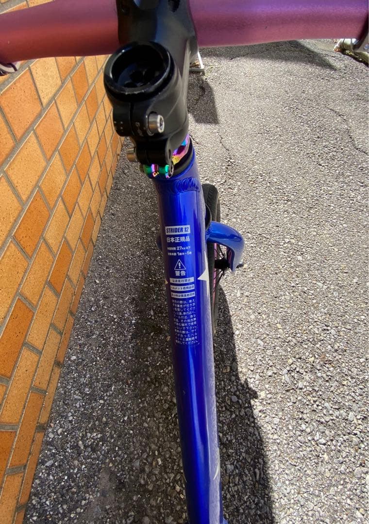 【手渡し限定/埼玉南部】⭐︎ストライダープロ⭐︎ランバイク⭐︎おまけ付き【カスタム】