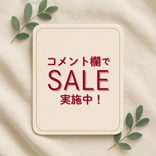 nicolesxn♪美品✨ビクトリノックス レキシントン センチュリー