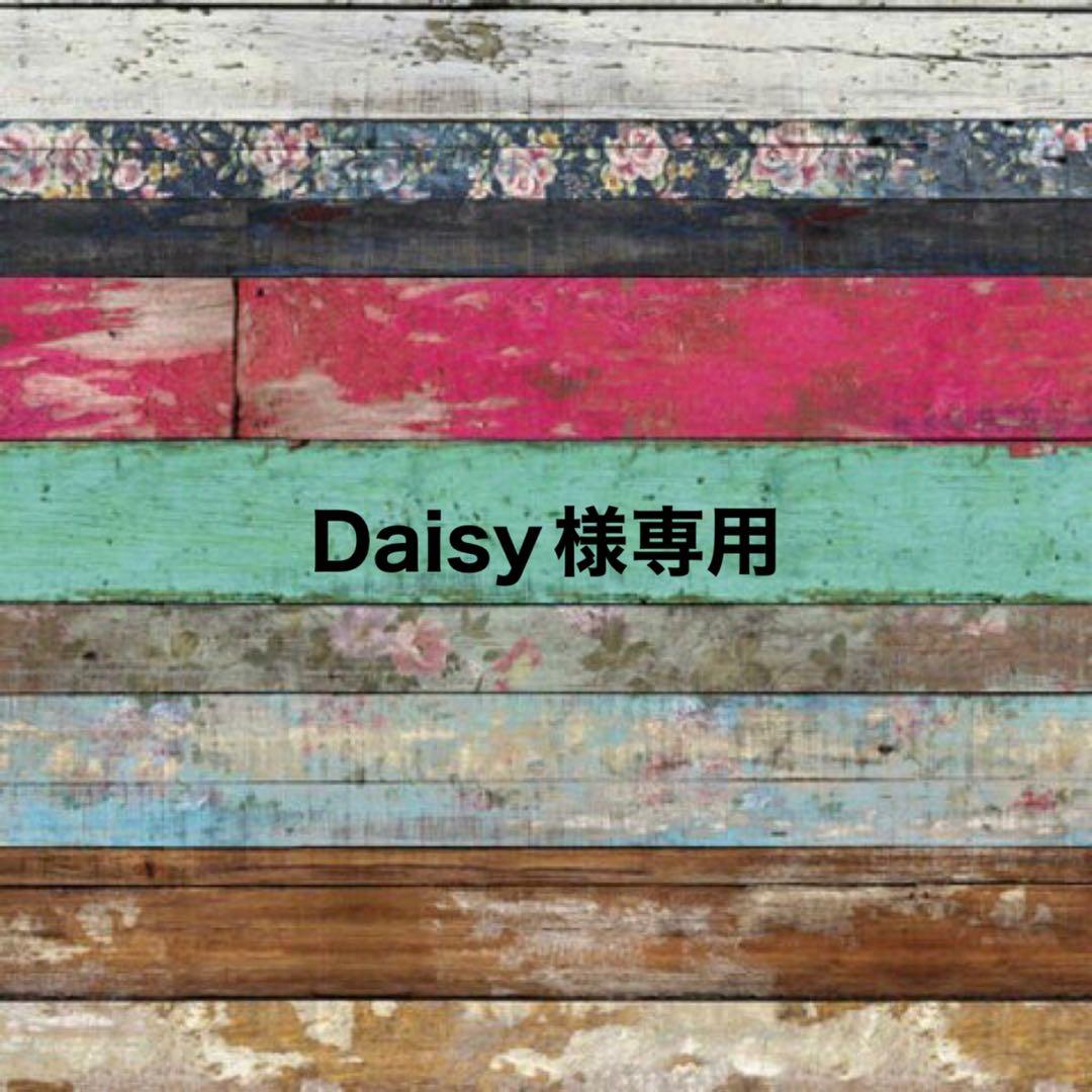 その他 Daisy