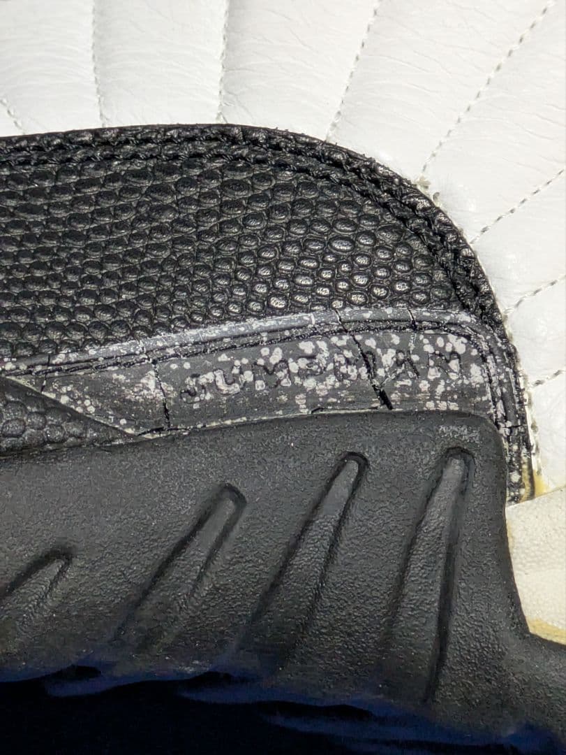 NIKE AIR JORDAN XⅡ 28cm WHT/BLK-TAXI