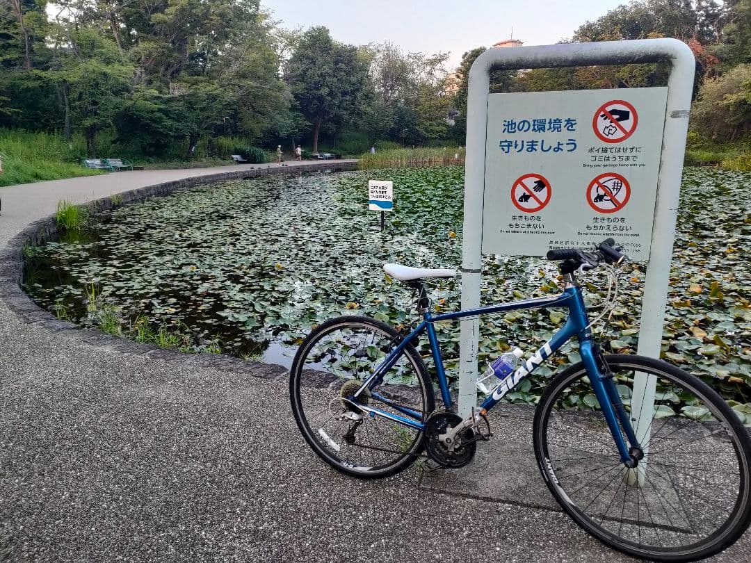 【引き取り限定】GIANT クロスバイク 700C