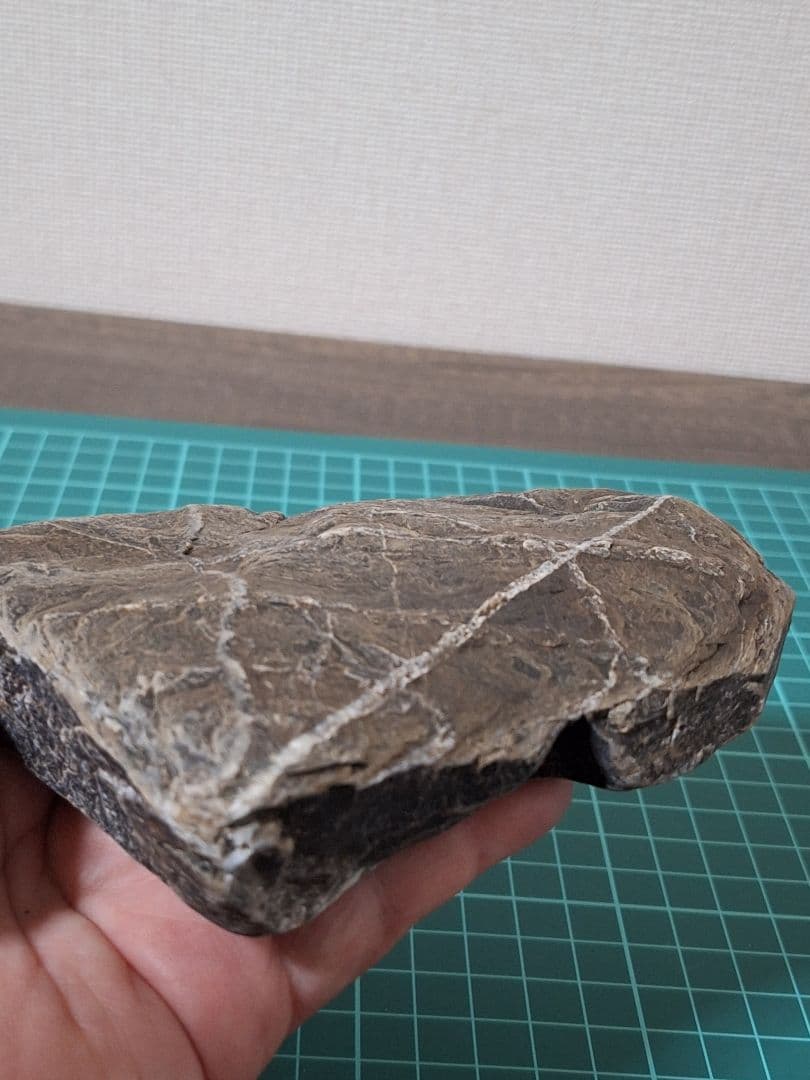 今回限り！徳島県産！カラフル水槽用石６個セット　阿波青石　チャート