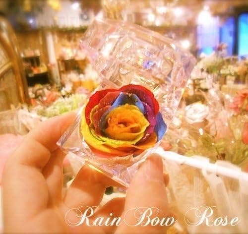 【高級プリザーブドフラワー】レインボーローズ ジュエリー