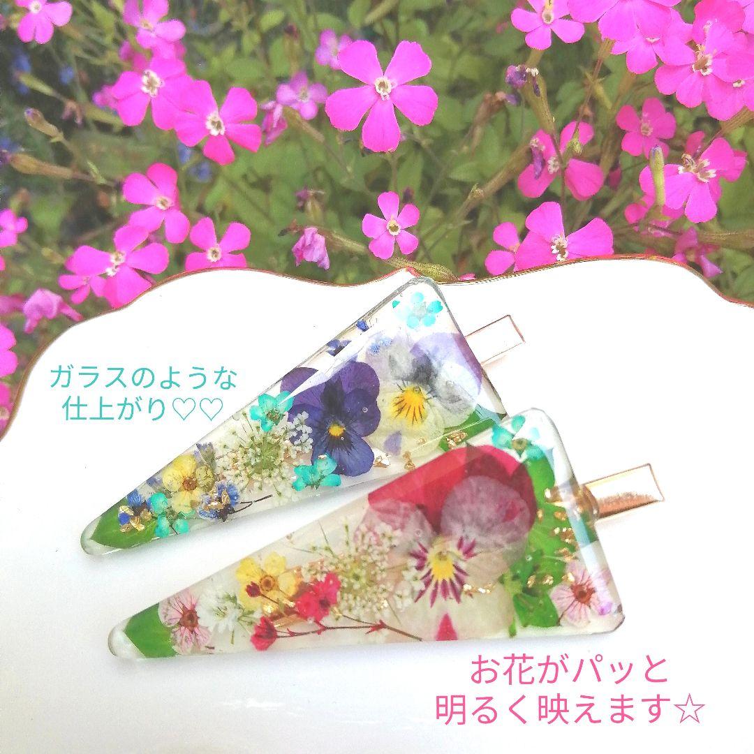専用レジン液 シエル6本、ツキハナ2本、コーティング剤つき☆