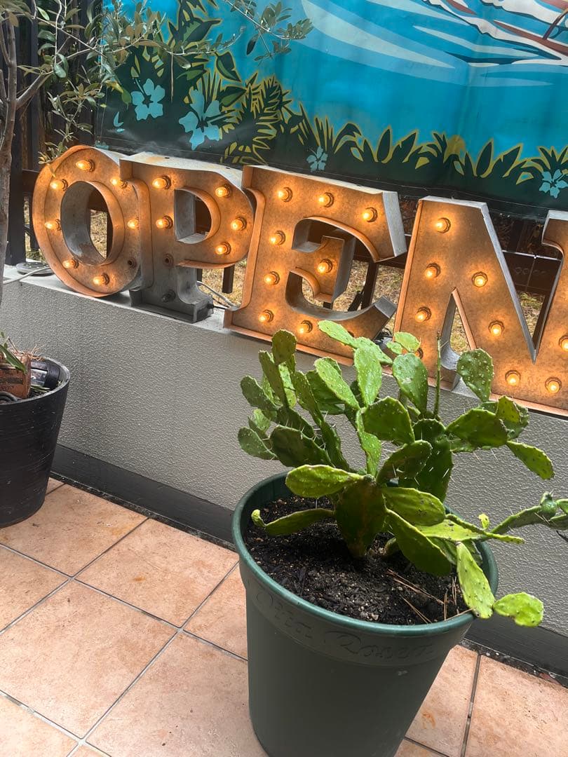 インダストリアル　アメリカン電飾サインライト