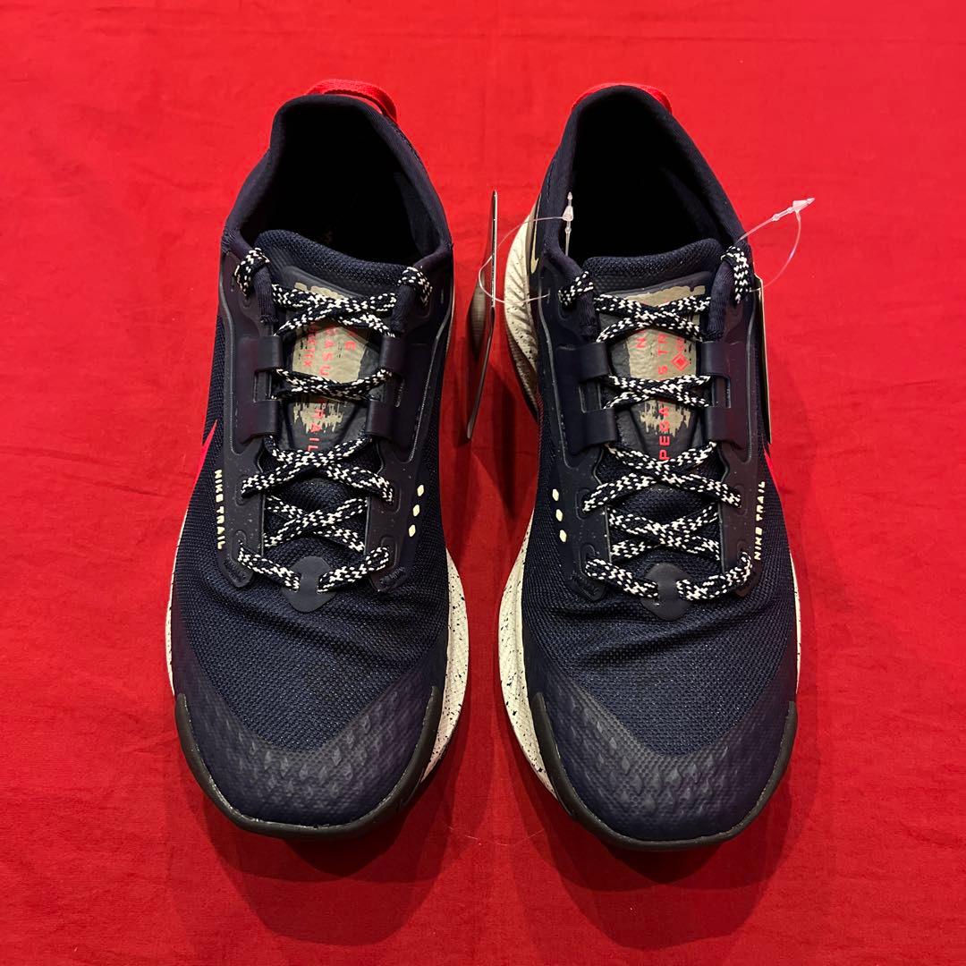 NIKE　ペガサス トレイル 3 ゴアテックス　ランニングシューズ　トレラン
