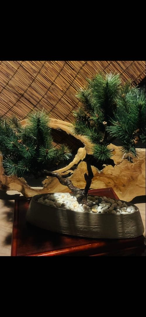 松盆栽(フェイク盆栽)