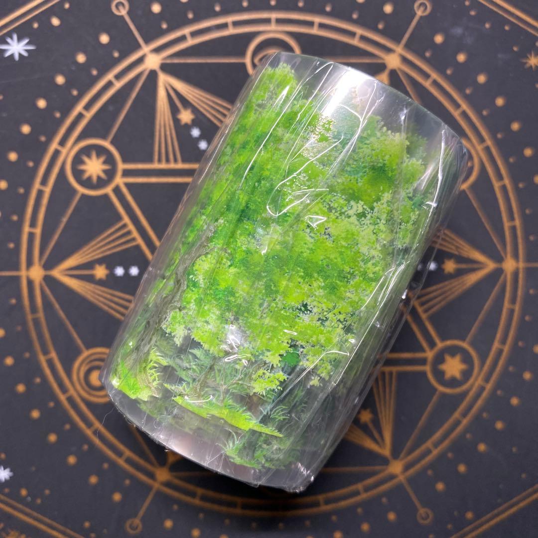 【9388】海外　マステ　5m巻　PETマスキングテープ　木　緑　自然　装飾系