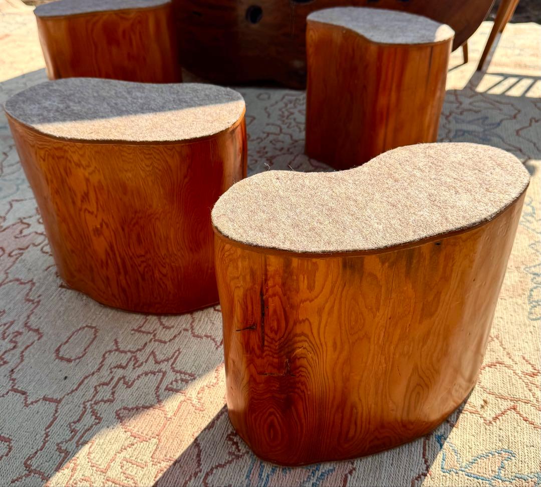 年輪ぎっしり！希少な屋久杉の輪切りの座敷机 厚み17cm！座卓