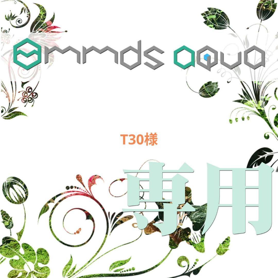 水質管理 T30