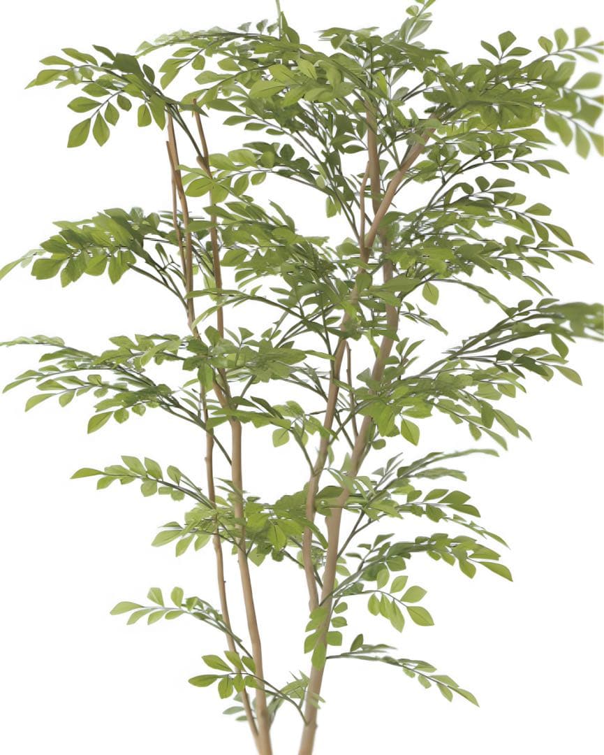 光触媒　人工観葉植物　ウォールグリーン　フェイクグリーン　ライトトネリコ1.6m