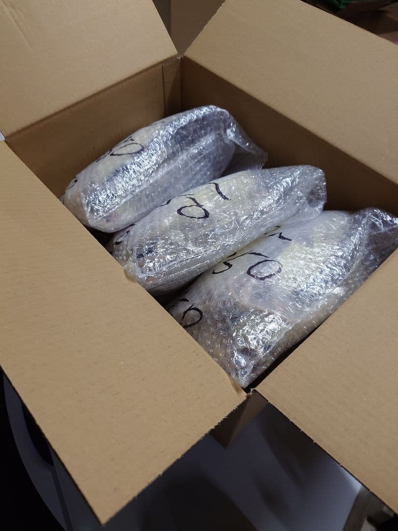 冷凍ラット 180~250g 30匹セット