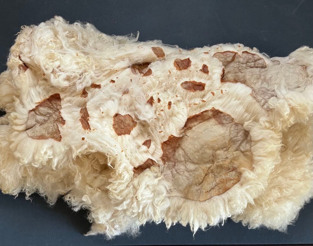 クリーム色 羊毛ラグ 約69cm x 約59cm