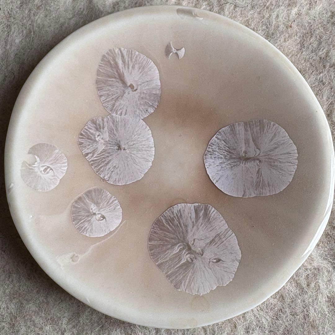 京都 陶器 結晶釉 プレート ピンク