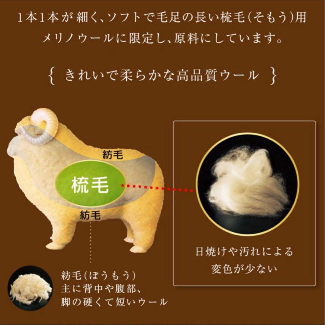 新品✨快眠博士 プレミアムソフゥール タスマニアンウール 最強敷き毛布 シングル