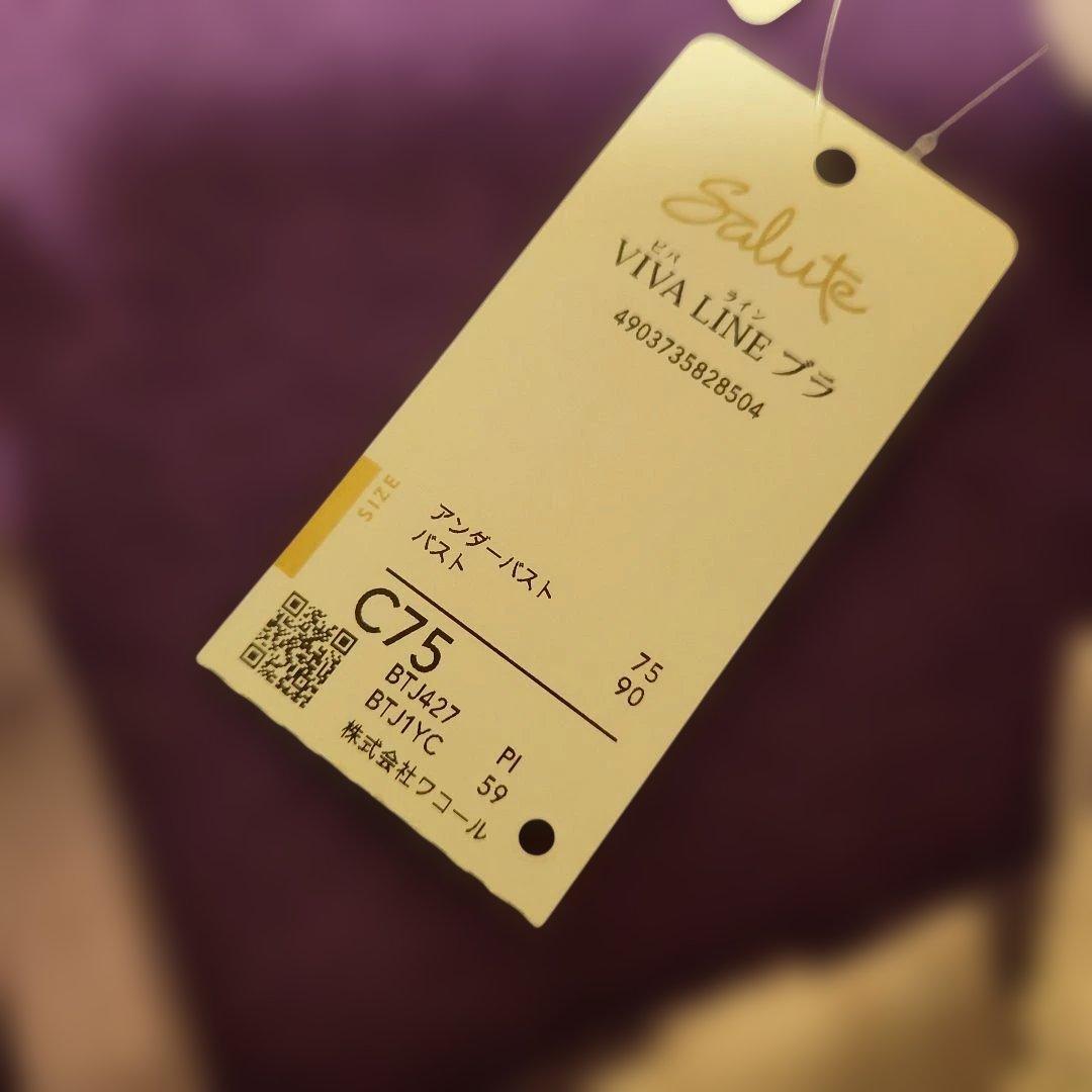 サルート❣️ビバライン27グループアイボリー レース ブラジャーショーツセット