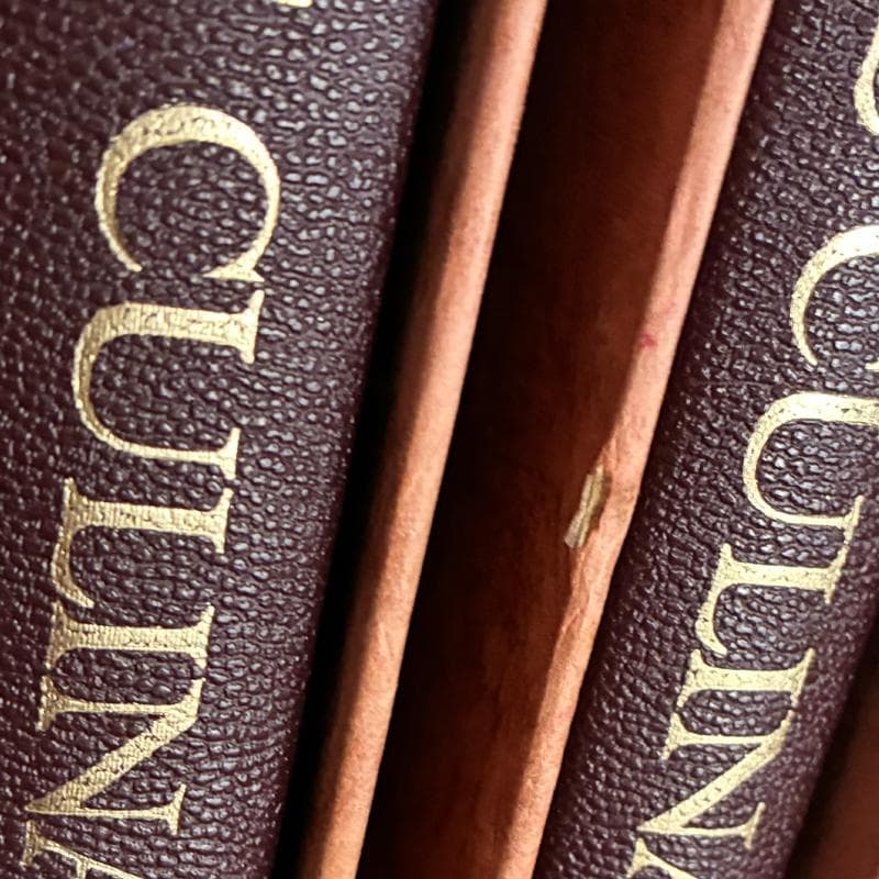 LE GUIDE CULINAIRE 600(エスコフィエの料理600)　全5巻
