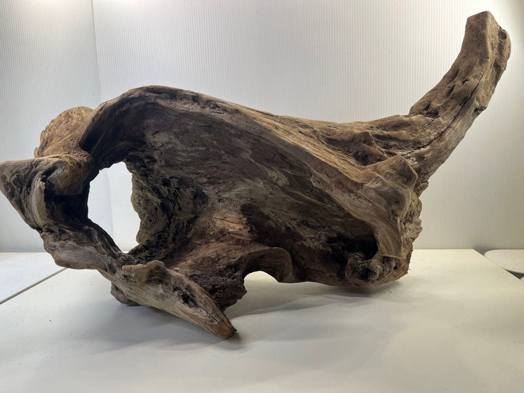 R72特大流木アク抜き済み流木 爬虫類シェルター 登り木 インテリア 生け花