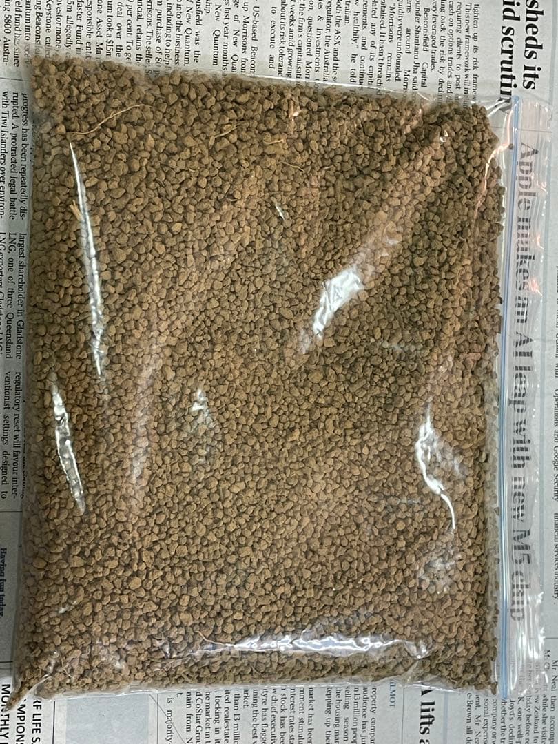 ⭐︎多肉植物⭐︎実生苗セット⭐︎2300円