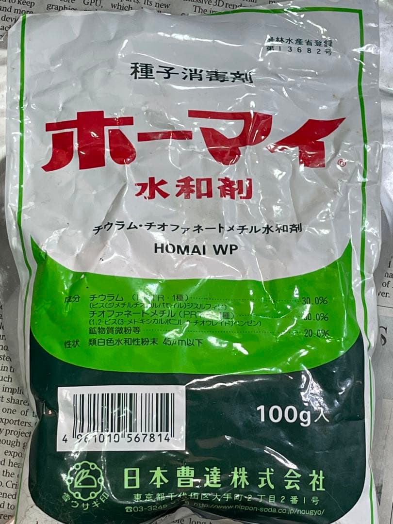 ⭐︎多肉植物⭐︎実生苗セット⭐︎2300円